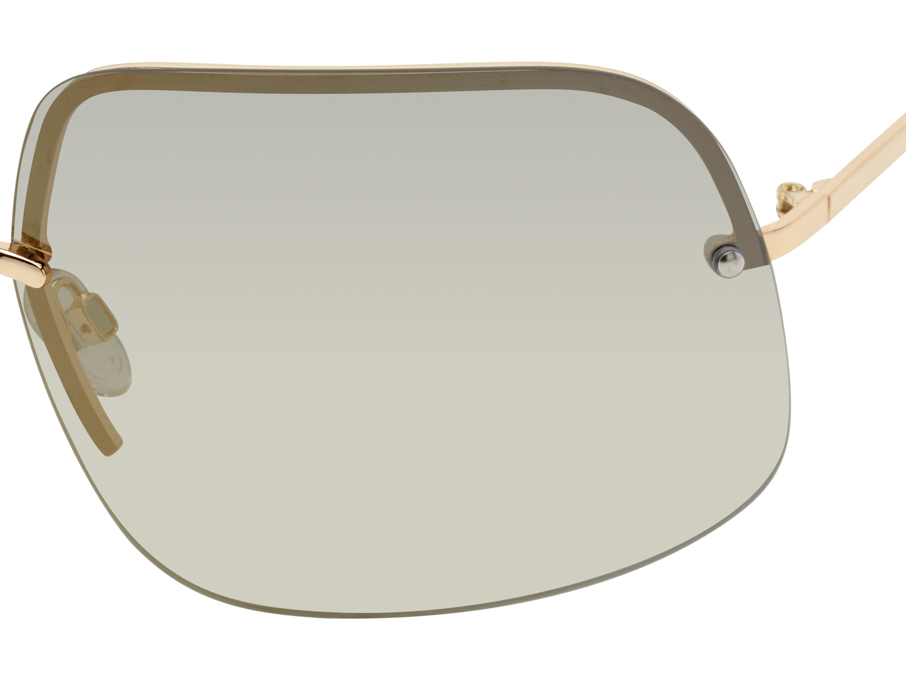 PRATT SHINY GOLD-STANDARD TORTOISE