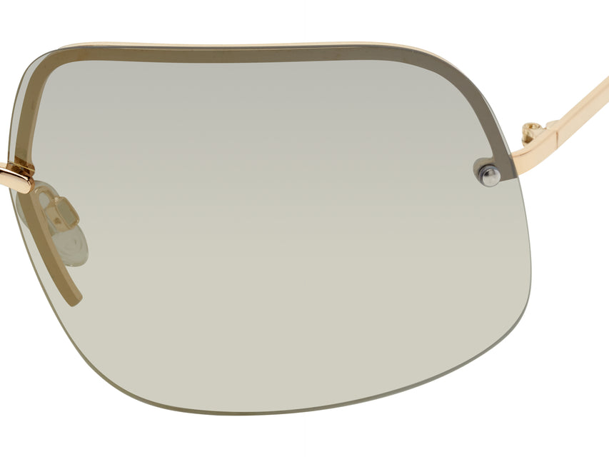PRATT SHINY GOLD-STANDARD TORTOISE