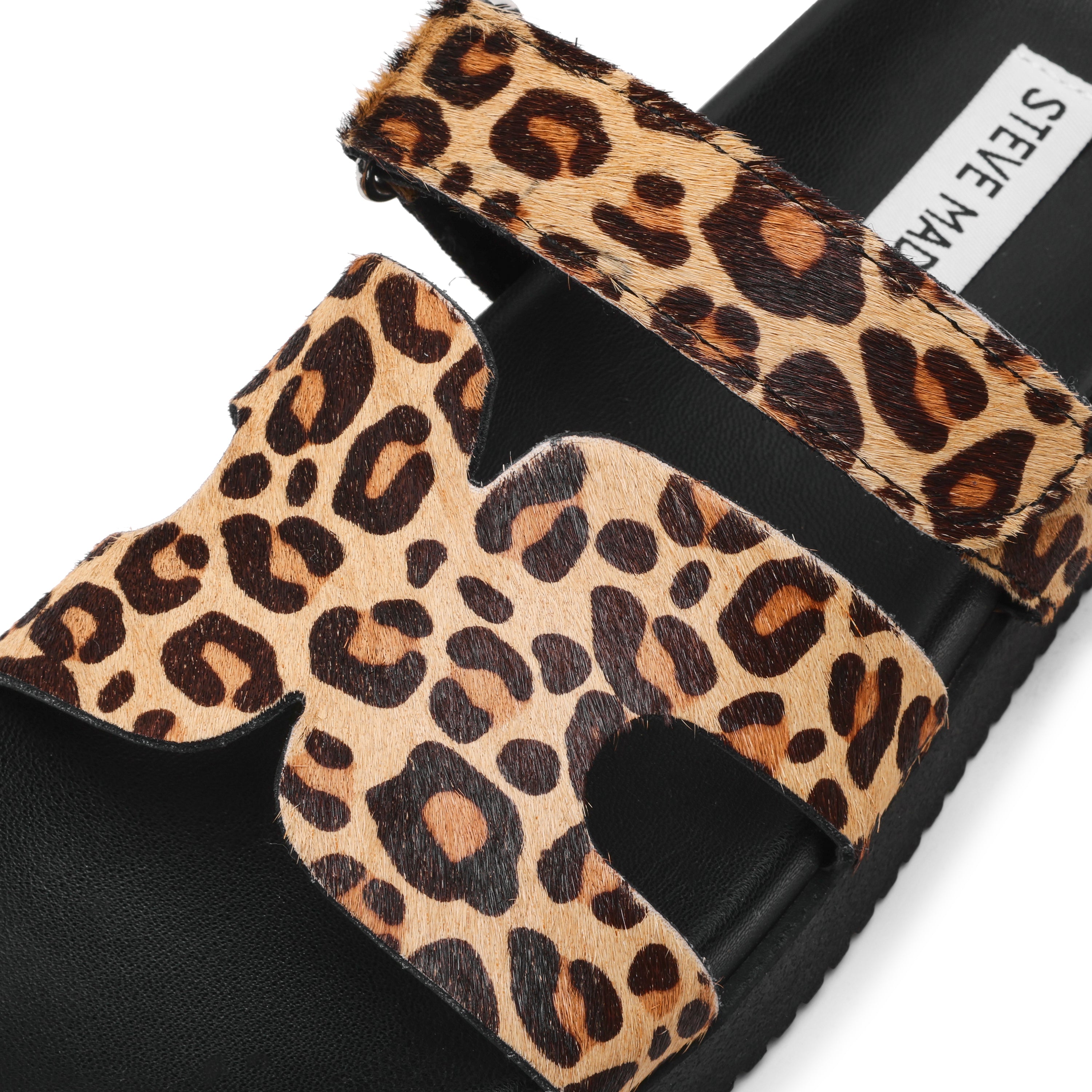 MISSILE-L LEOPARD - view 3