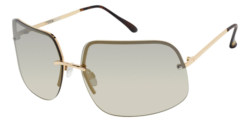 PRATT SHINY GOLD-STANDARD TORTOISE